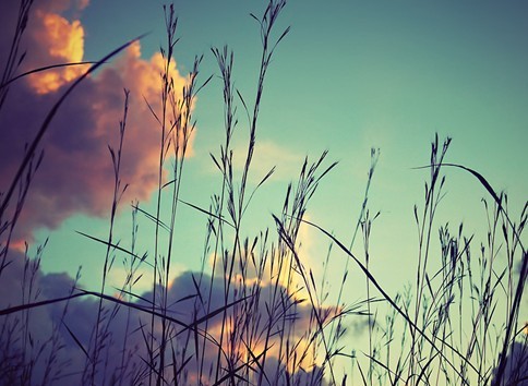 ʫ�贴������