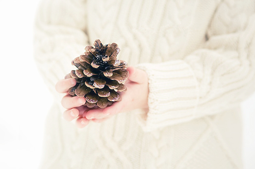 ���������Ĺ���