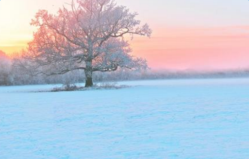 �й���ѩ��˵˵