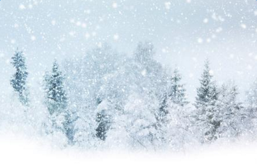 �й���ѩ��˵˵