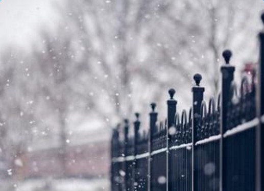 �й���ѩ��˵˵