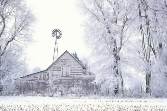 �й���ѩ��˵˵