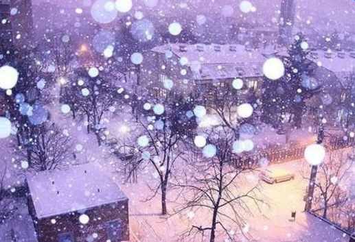 �й���ѩ��˵˵