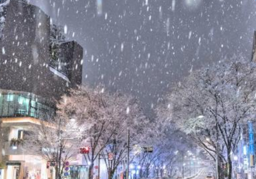 �й���ѩ��˵˵