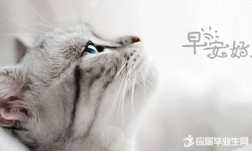 ��־�������ǩ��