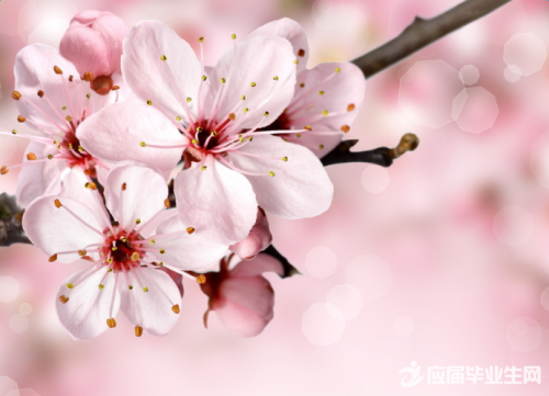 ΢�ž���˵˵��������