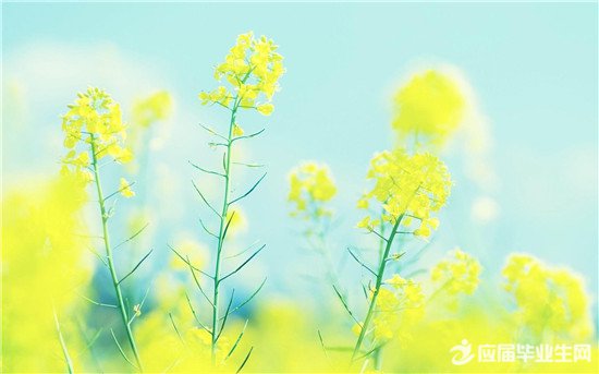 ��дУ԰�羰��ɢ��