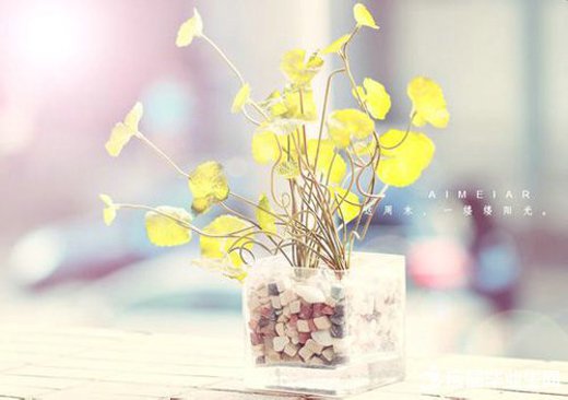 ��дУ԰�羰��ɢ��