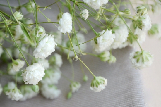 ���ڰ�������ɢ��