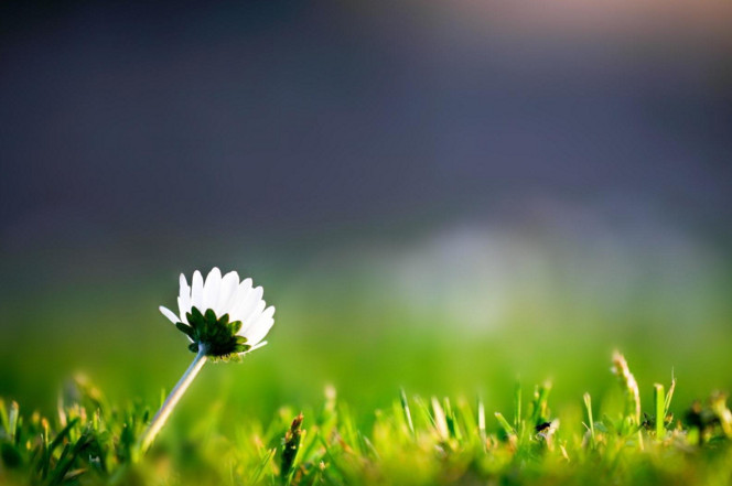 ��ק������˵˵