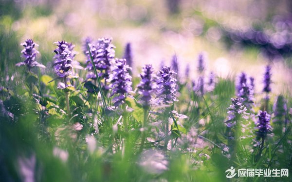 ������������ǩ������Щ