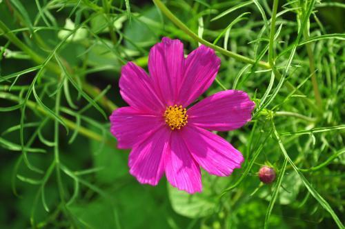 ��ֻ����������־����