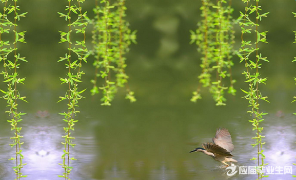 �Ŵ���С���´����