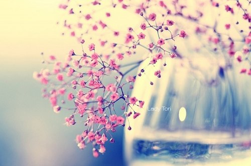 ������������С����