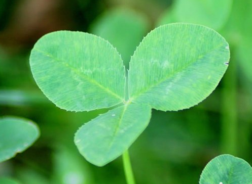 �����������˵˵��ȫ