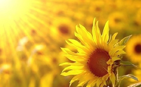 �����������˵˵��ȫ