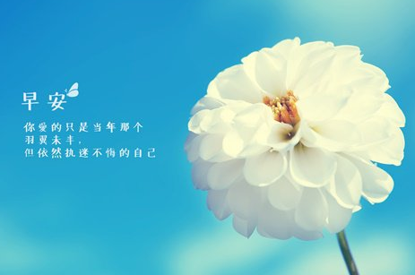 �����������˵˵��ȫ