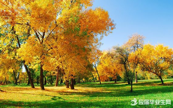 ��д���������ʫ��