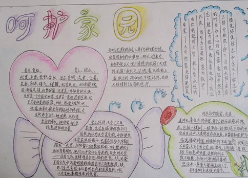 保护地球手抄报推荐