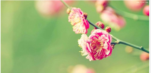 ��Щ˵���Ŀ�������˵˵