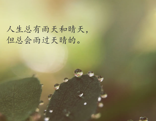 100�主����������־˵˵