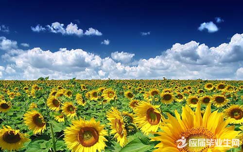 qq��������˵˵��ȫ