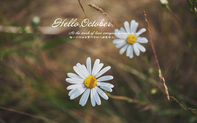 高中散文好句好段摘抄