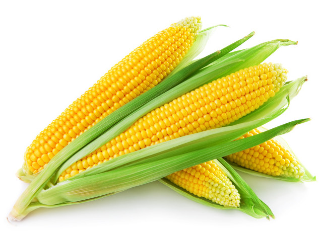 �����߲˵������ȫ