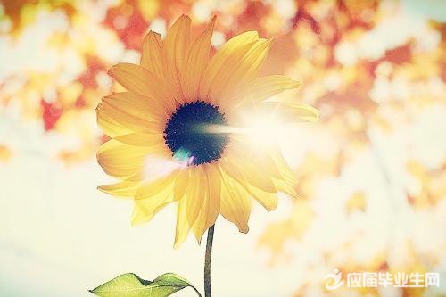 �����ֵĳ���