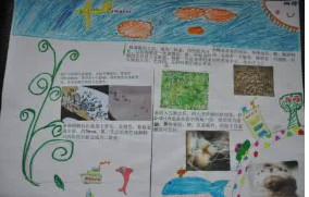 ��ֲ���ɻ����ֳ���