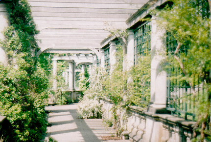 �ִ���־�ഺʫ��