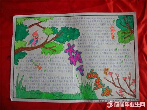 �����������ֳ���