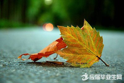 最牛的说说心情短语大全