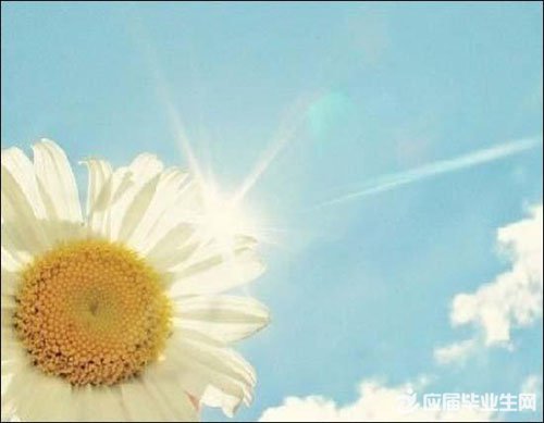 ����΢�Ű������ǩ��