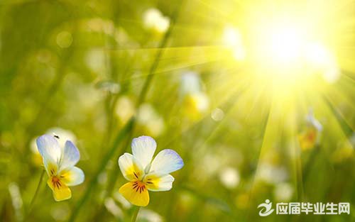 感恩父母为主题的诗歌