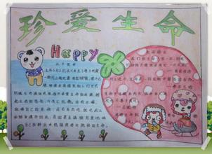 生命没有彩排手抄报 生命没有彩排手抄报