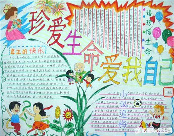 生命没有彩排手抄报 生命没有彩排手抄报