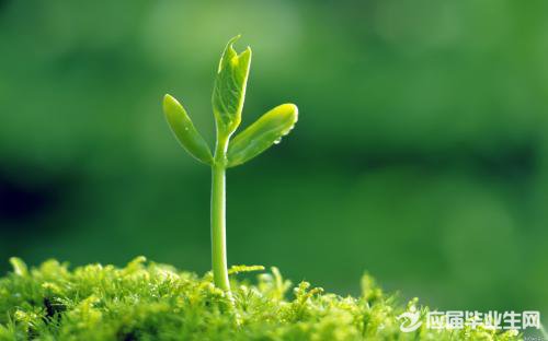 ���ڸ��������ĸ���ǩ����ȫ