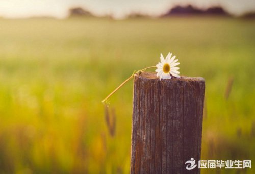 ��������ĸ���ǩ��