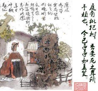 ���־ɢ���������ʵ¼