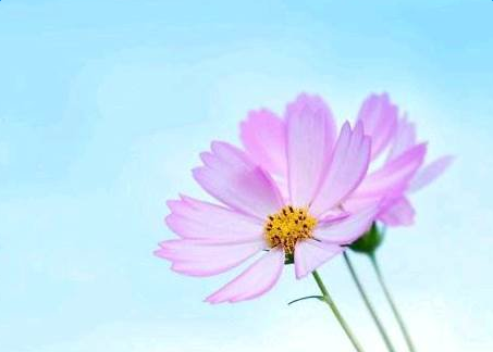 蕴含哲理的晨会小故事 蕴含哲理的晨会小故事