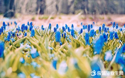 小学生字谜及答案