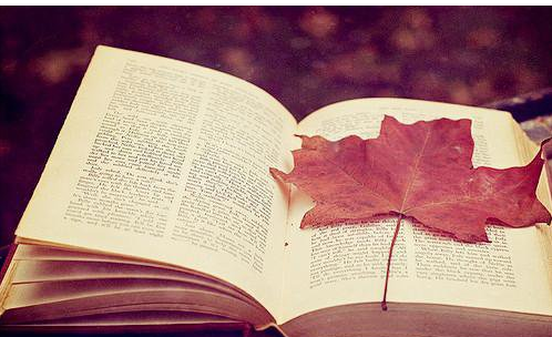 ΢�Ÿ���ǩ���������