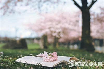 ���ڸ�������ɢ��