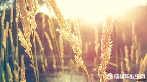 ��־����С���¾�ѡ