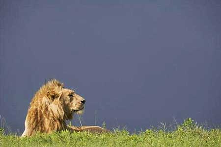 ������־С���¼�����