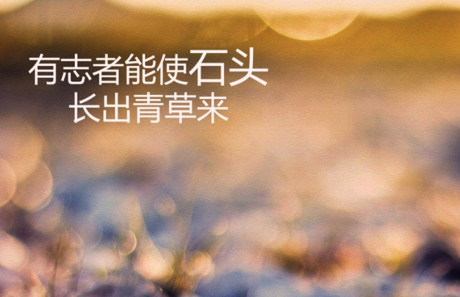 ���ϸ��Լ��Ĺ�����������˵˵