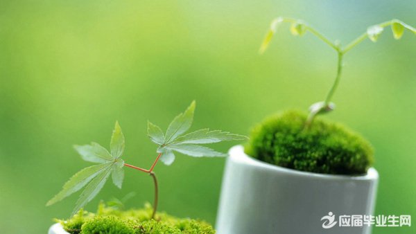 �������˵˵��ȫ�Ķ�����