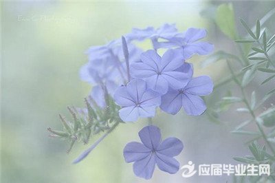 �Ҹ���Ӣ�ĸ���ǩ��