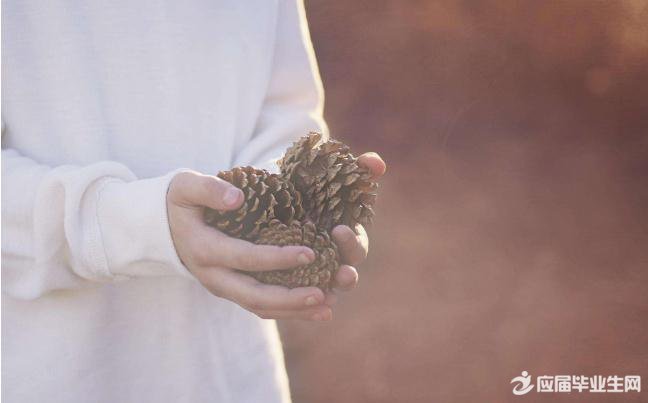 �й���������ɢ��